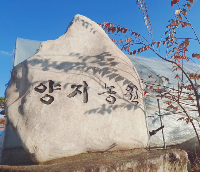 양지농원