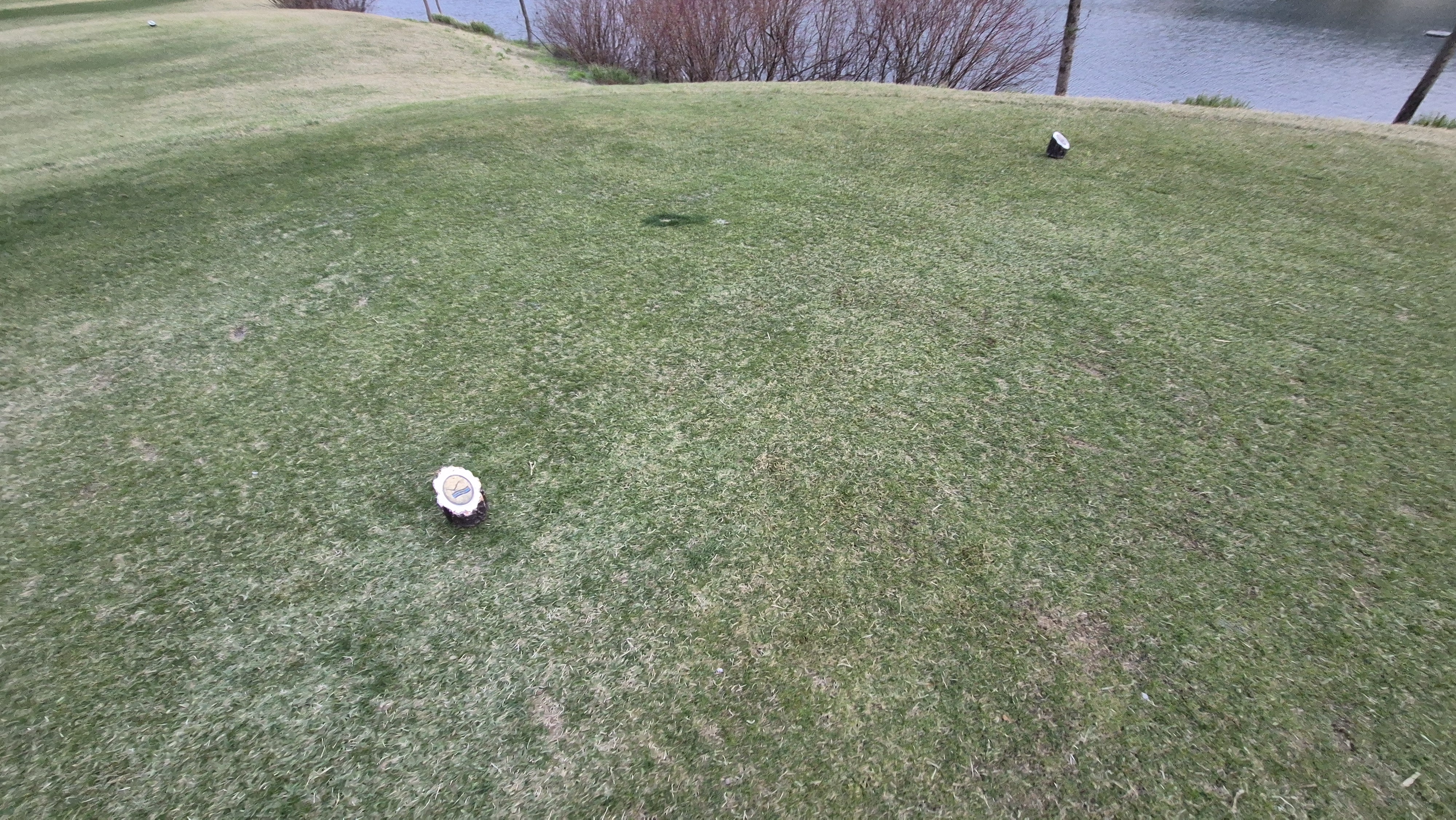 진양밸리 크리크-밸리 코스 티잉구역상태