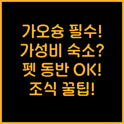 가오슝 가성비 호텔 조식 반려동물 정..