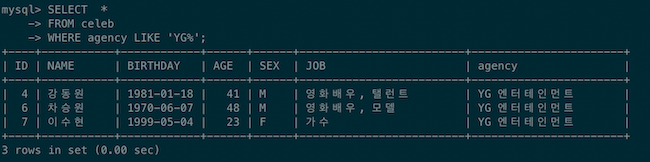 SQL LIKE 연산자 % 패턴