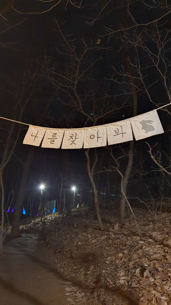 토끼찾기