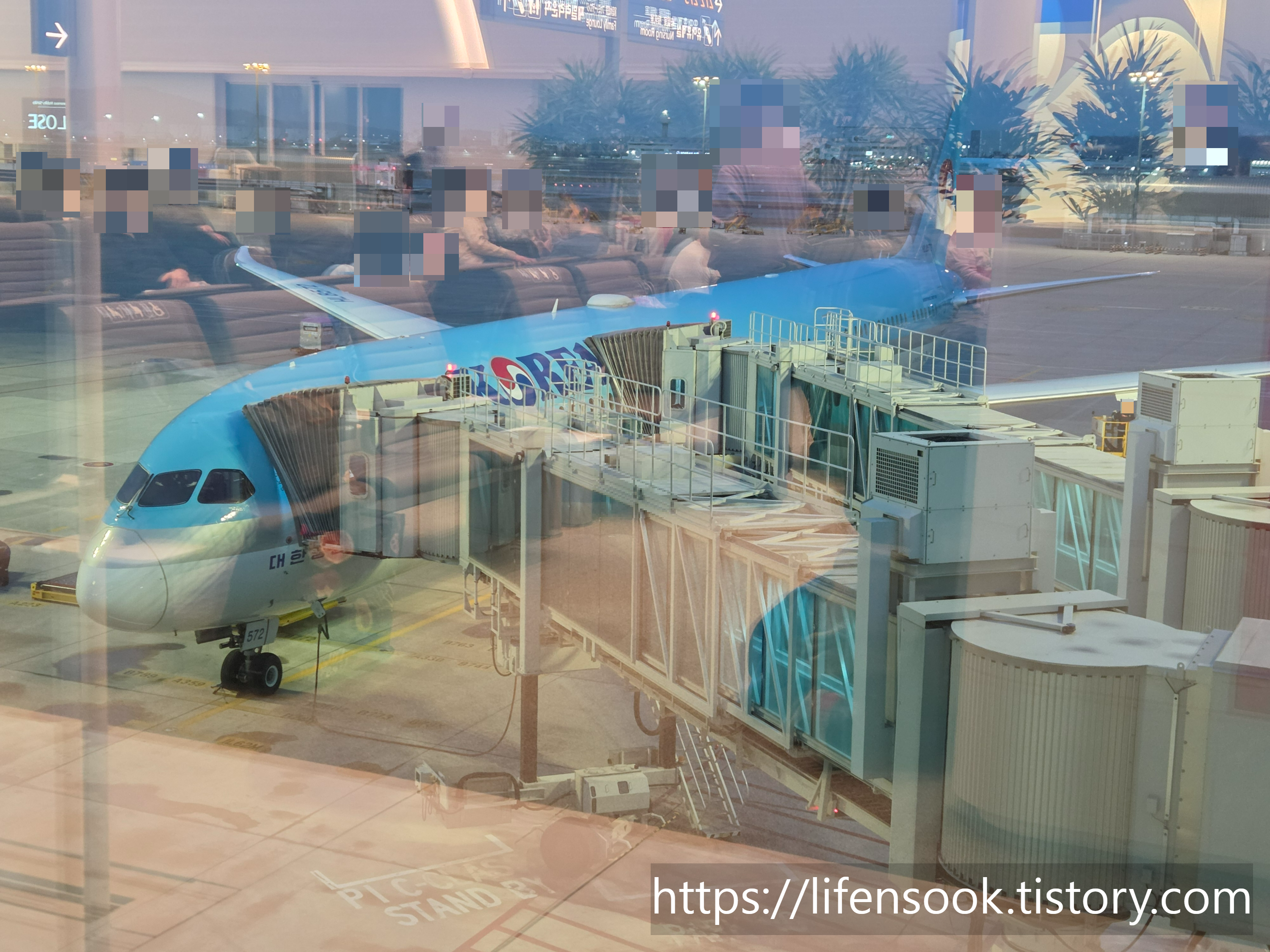 대한항공 뉴질랜드행 비행기