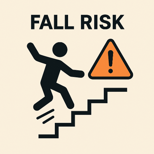 고령자 낙상 위험 평가 도구