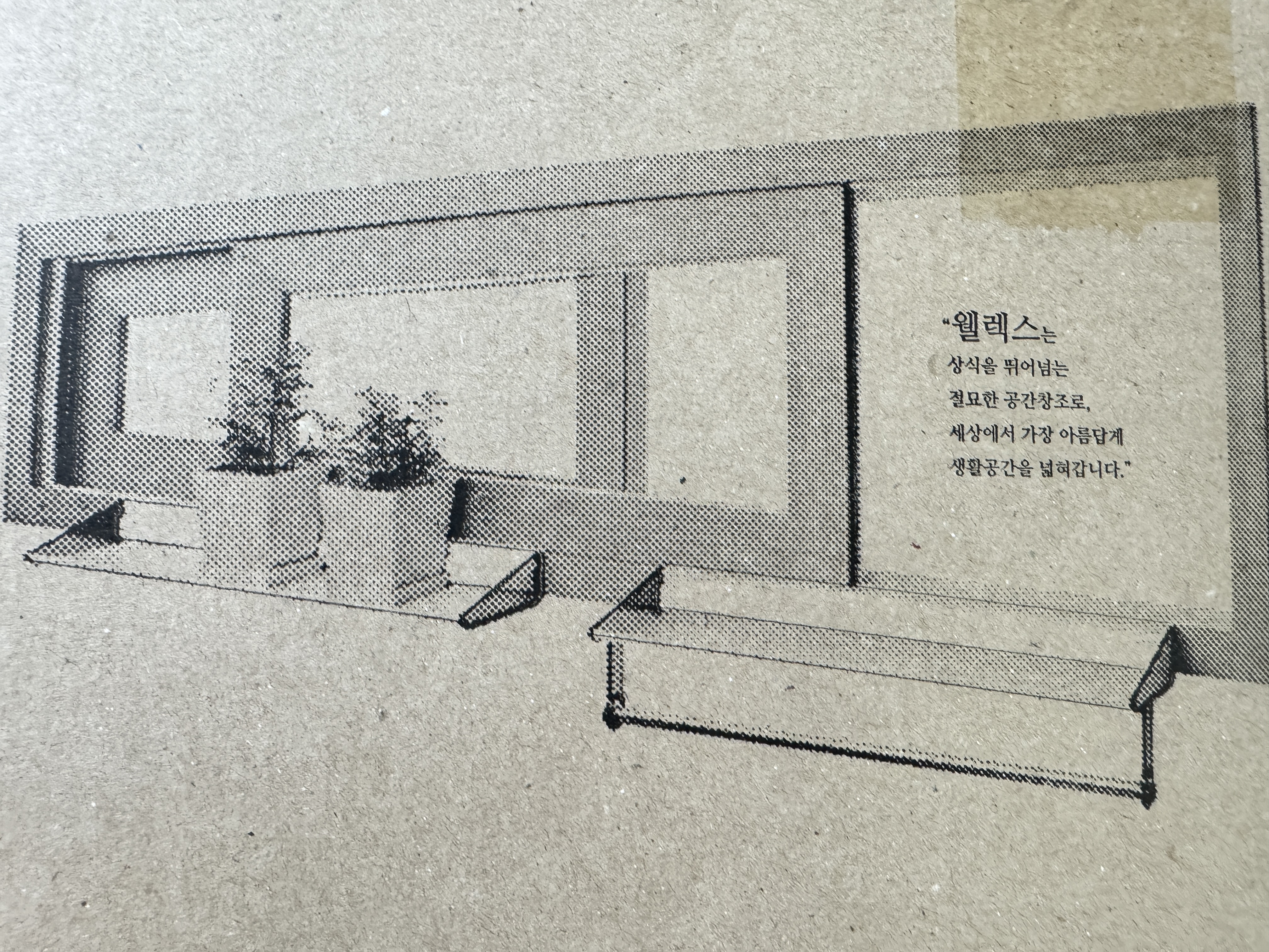 웰렉스