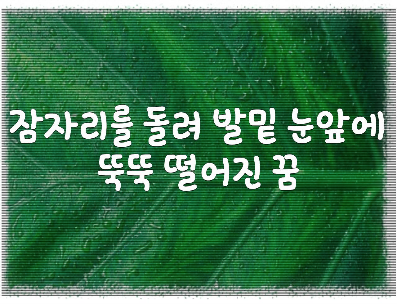 남녀가 코끼리를 탄꿈 - 알아보자 :: 남녀가 코끼리를 탄꿈 - 잠자리를 돌려 발밑 눈앞에 뚝뚝 떨어진 꿈 남녀가 코끼리를 탄꿈 - 알아보자 :: 남녀가 코끼리를 탄꿈 - 잠자리를 돌려 발밑 눈앞에 뚝뚝 떨어진 꿈