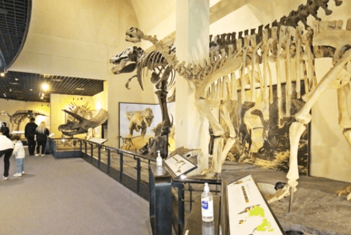 어린이날 가볼만한곳