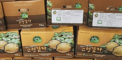 [6시 내고향] 고령 개진감자 택배주문 개진감자영농법인 판매