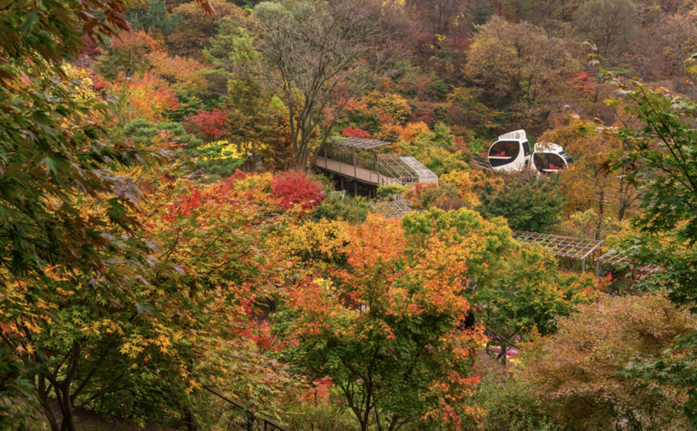 화담숲 화담채 모노레일 사전 예약&amp;#44; 할인받고 예매 하기