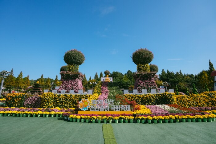 제22회 익산 천만송이 국화축제 2025 : 일정&middot;프로그램&middot;볼거리 총정리