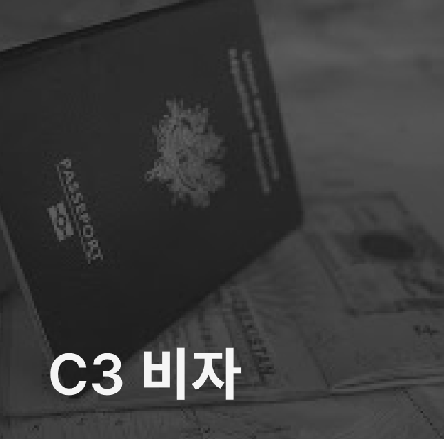 C3 비자