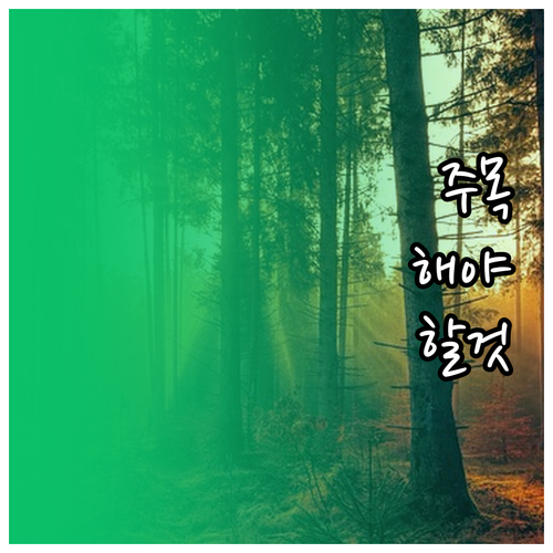 주유비 절약 극대화 현명한 주유와 운..