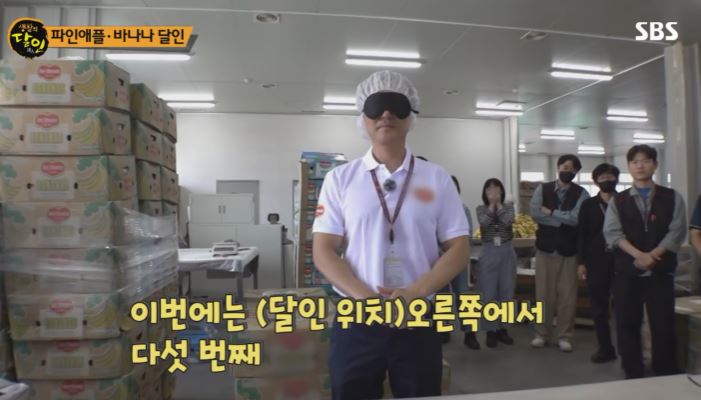 바나나 달인