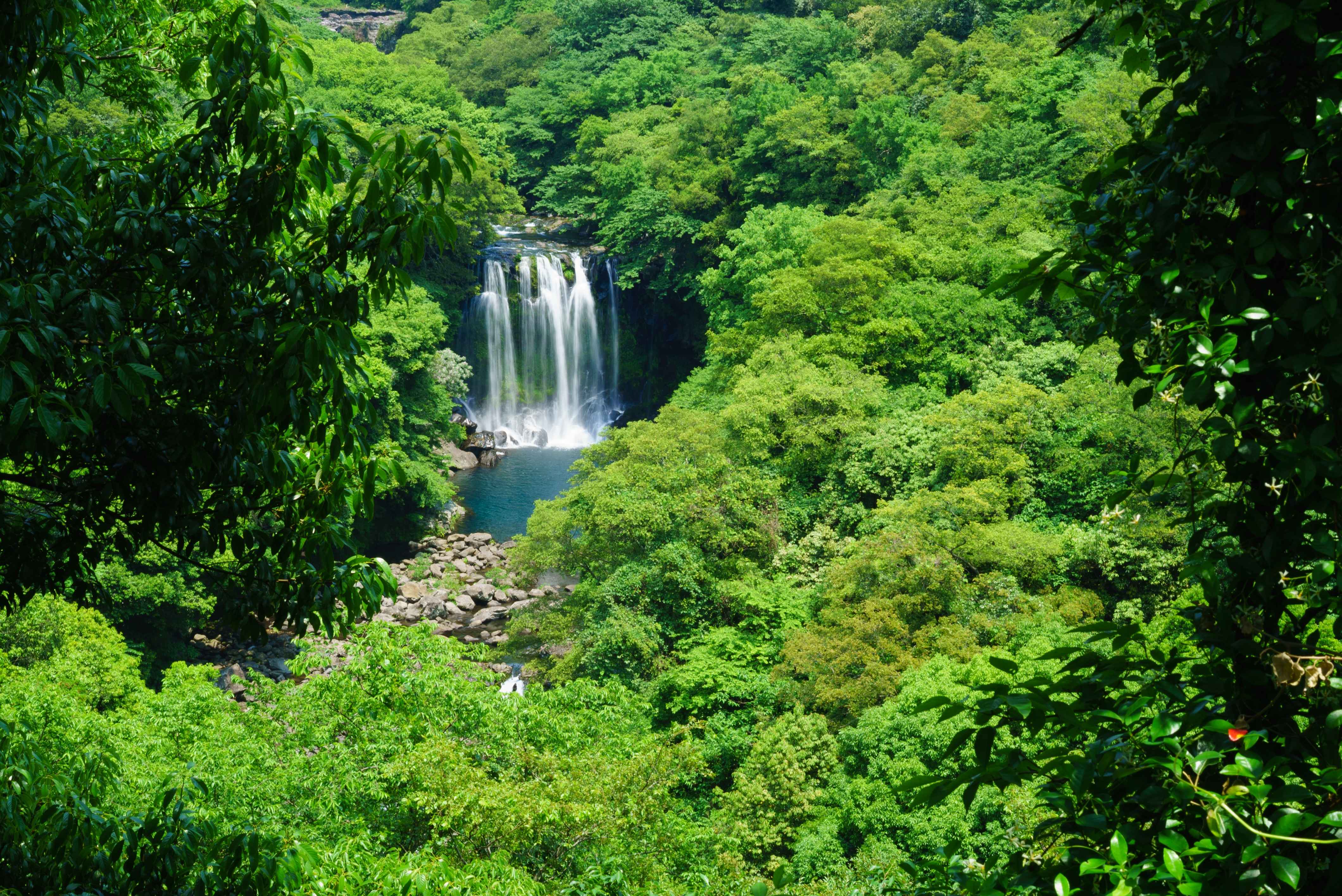 제주도 천제연 폭포 사진