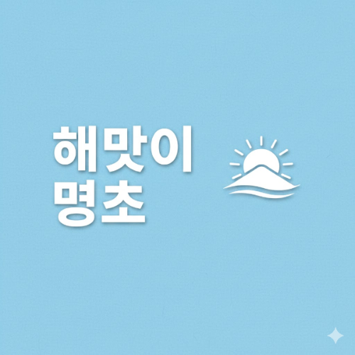 Gemini를 활용하여 만든 '해맞이 명소' 카드 뉴스 이미지