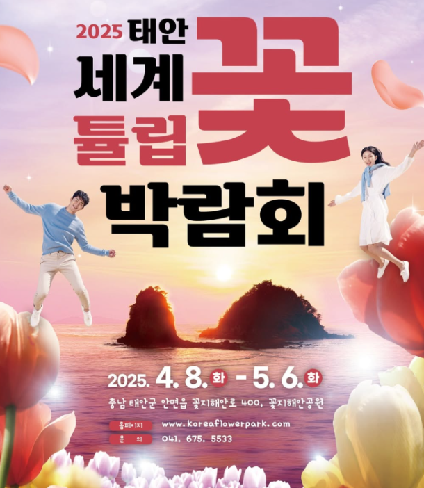태안 튤립 축제 기간