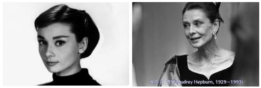 오드리 햅번의 아름다운 모습
