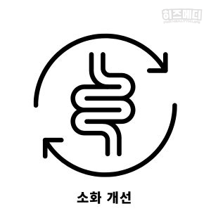레몬수 효능