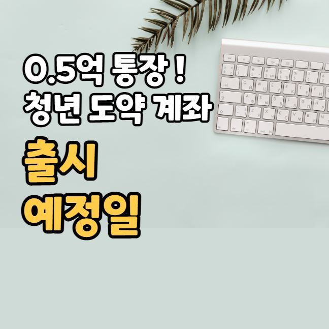 청년 도약 계좌 출시