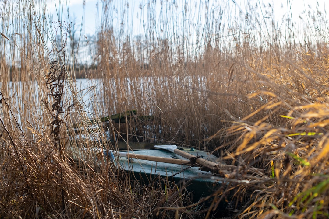 January attractions