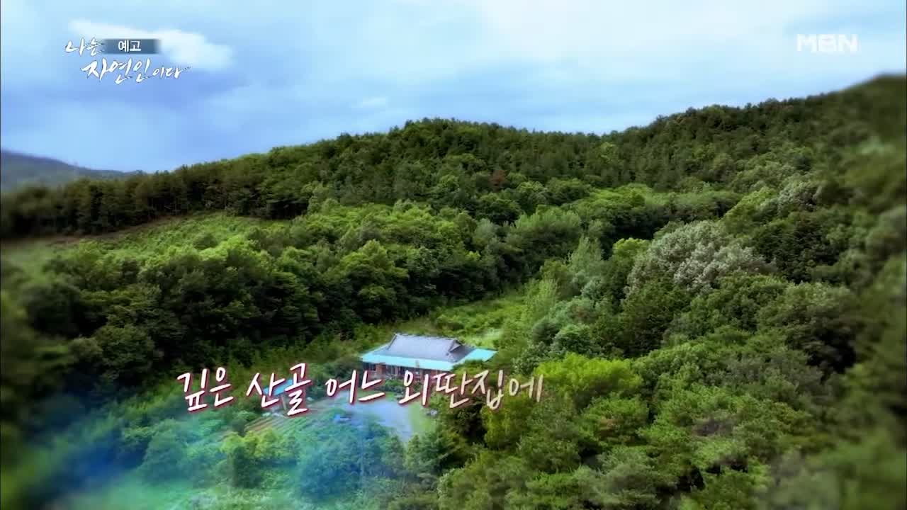 이승윤 윤택 나는 자연인이다 511회 나의 첫 독립일기 자연인 이영숙 소개 및 출연 다시보기