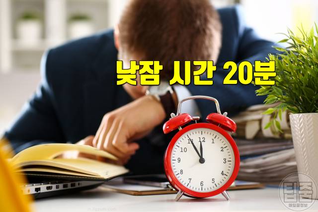 낮잠 잘 자는법 낮잠 적정시간