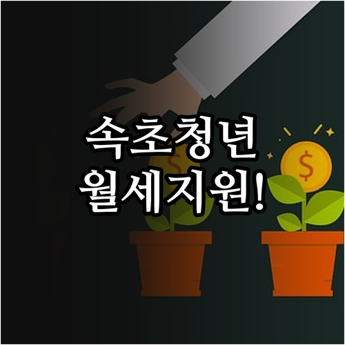 속초시 청년 월세 지원 복지로 신청 ..