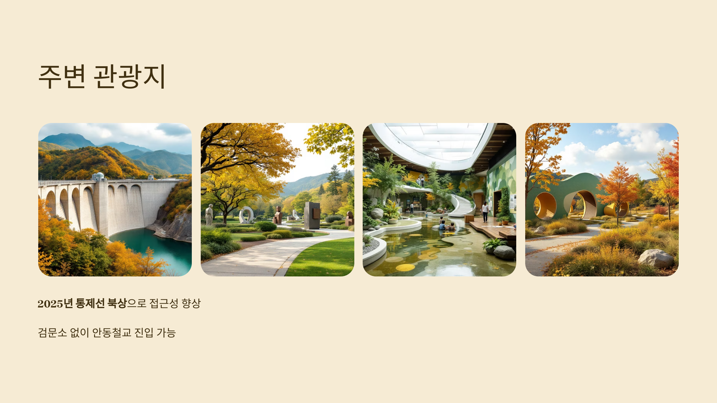 🏕️평화의댐 오토캠핑장: 카라반·반려견동반 캠핑!