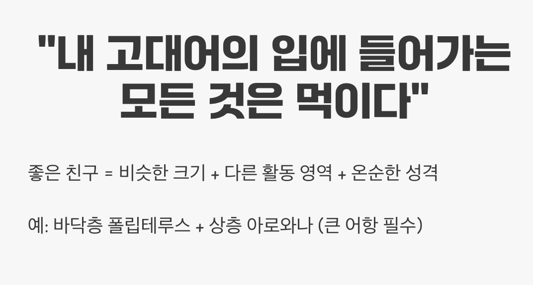 합사 - '친구'는 신중하게 고르세요