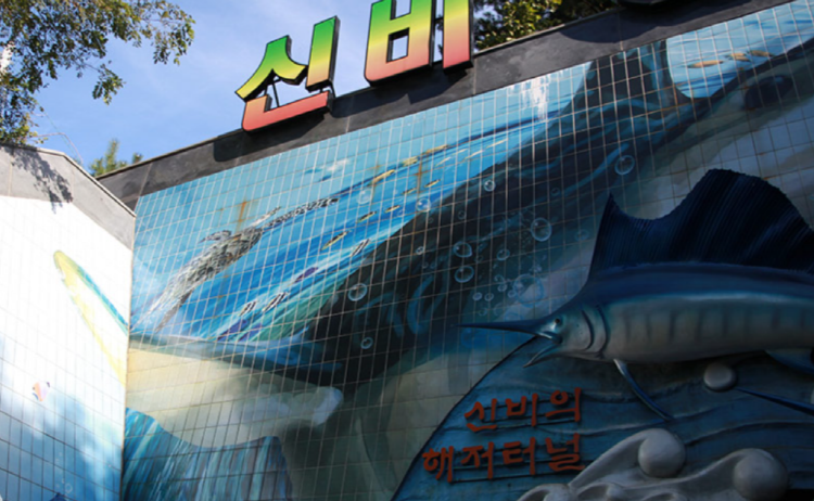 삼척 레일바이크