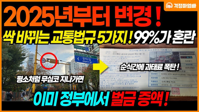 🚗 2025년 국민이 꼭 알아야 할 상식: 운전면허제도 개편