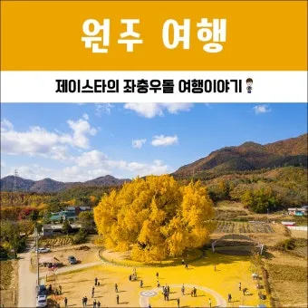 원주 가볼만한곳 추천 맛집 카페 여름 최신_17