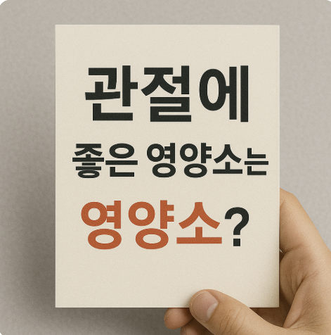 관절에 좋은 영양소는? 글루코사민 vs MSM vs 오메가3 비교 분석 관련 사진