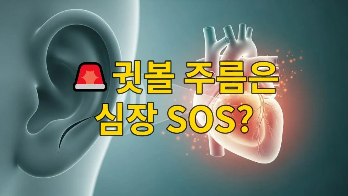 귓볼에 난 대각선 주름(프랭크징후)이 보이고, 그 뒤로 건강하게 빛나는 심장이 있는 이미지. 심혈관 건강의 중요성을 나타냅니다.
