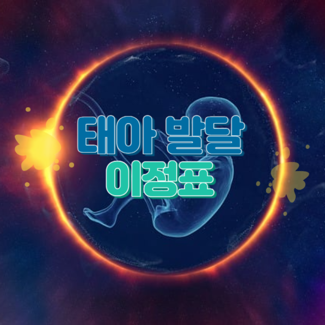 태아 발달 이정표
