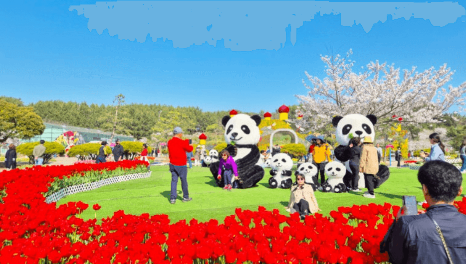 에버랜드 자유이용권