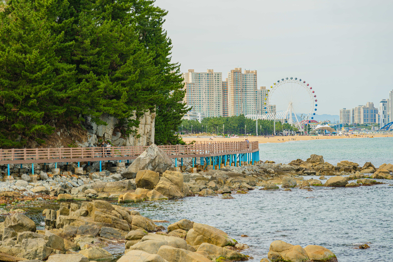 속초바다향기로
