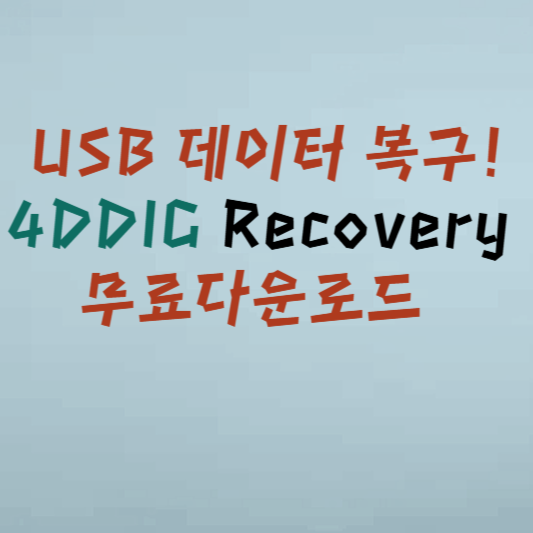 USB 데이터 복구! 4DDIG