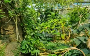 수피아식물원-입장료-운영시간-부천호수식물원