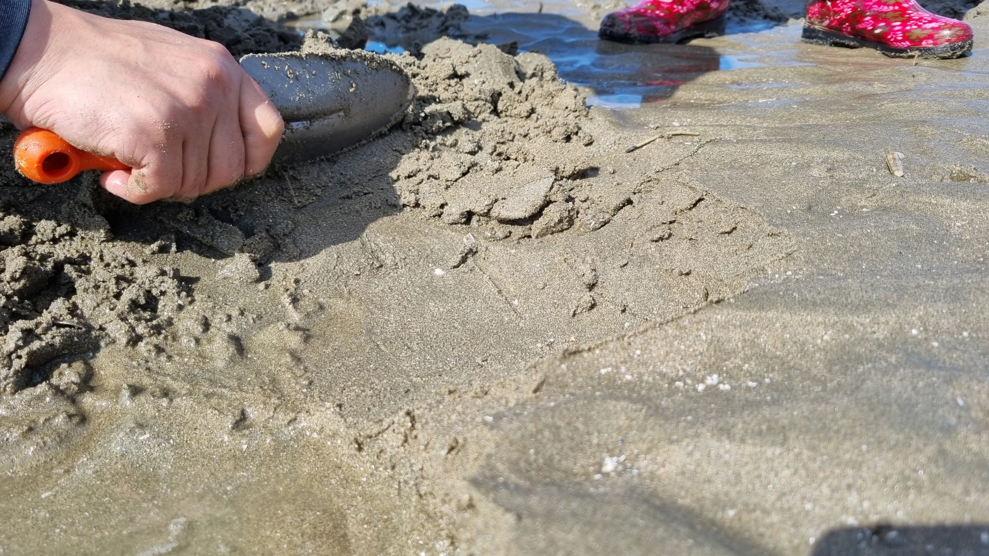 모래 걷어내는 모습