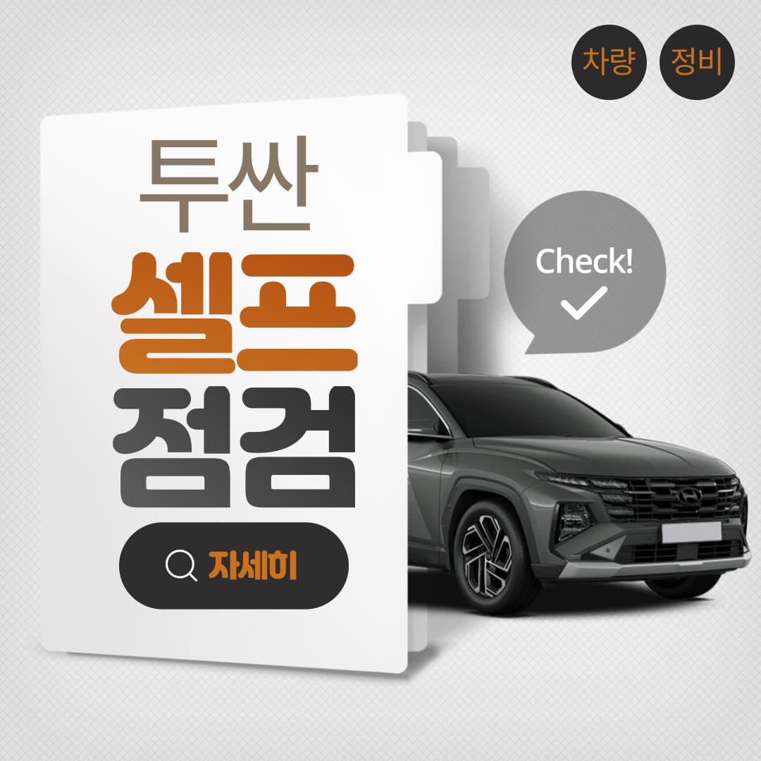투싼-셀프-점검-상세-가이드