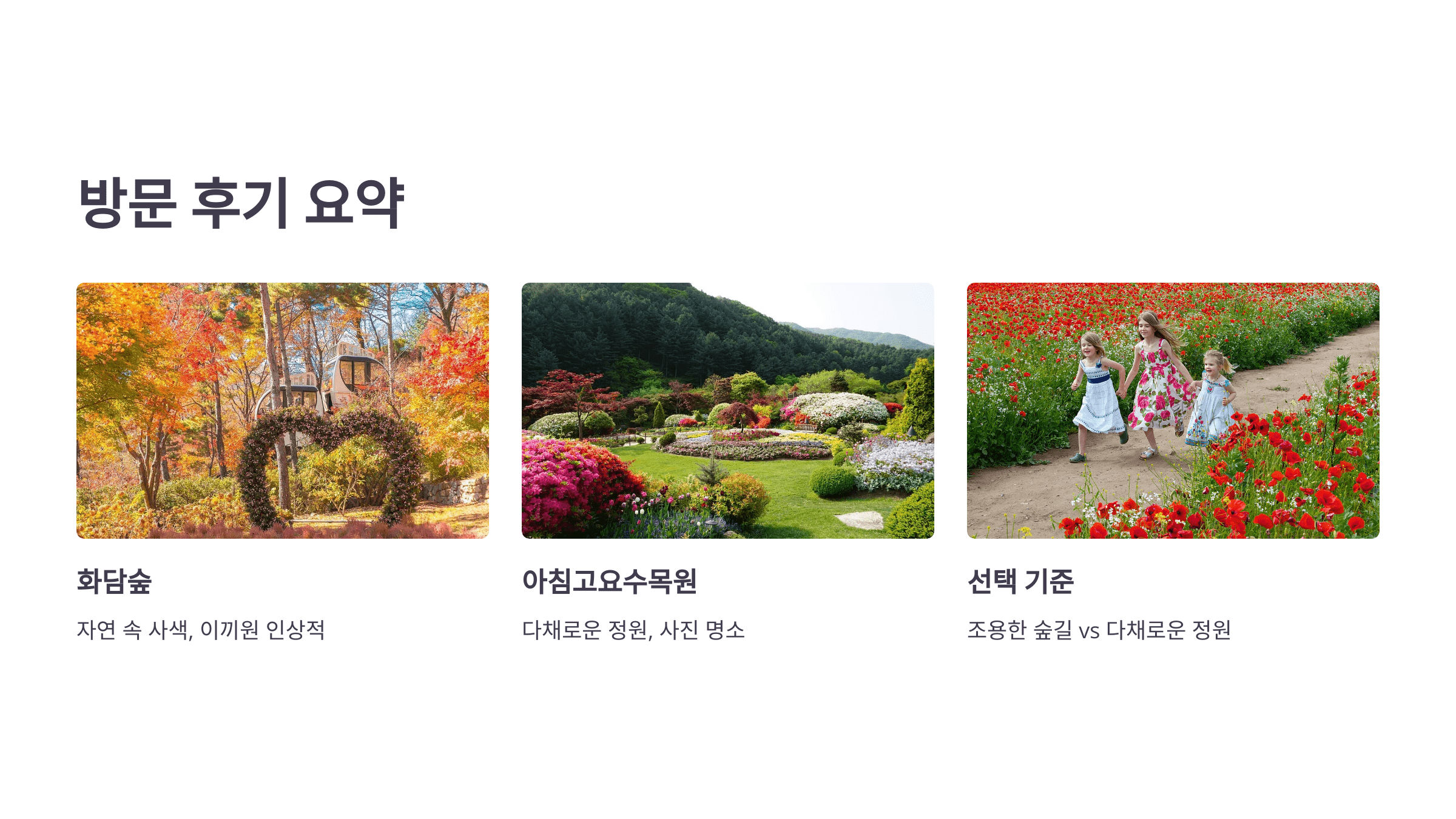 화담숲,아침고요수목원 방문 후기 요약