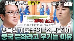 애국주의 중국청년들: 소분홍 및 탕핑족