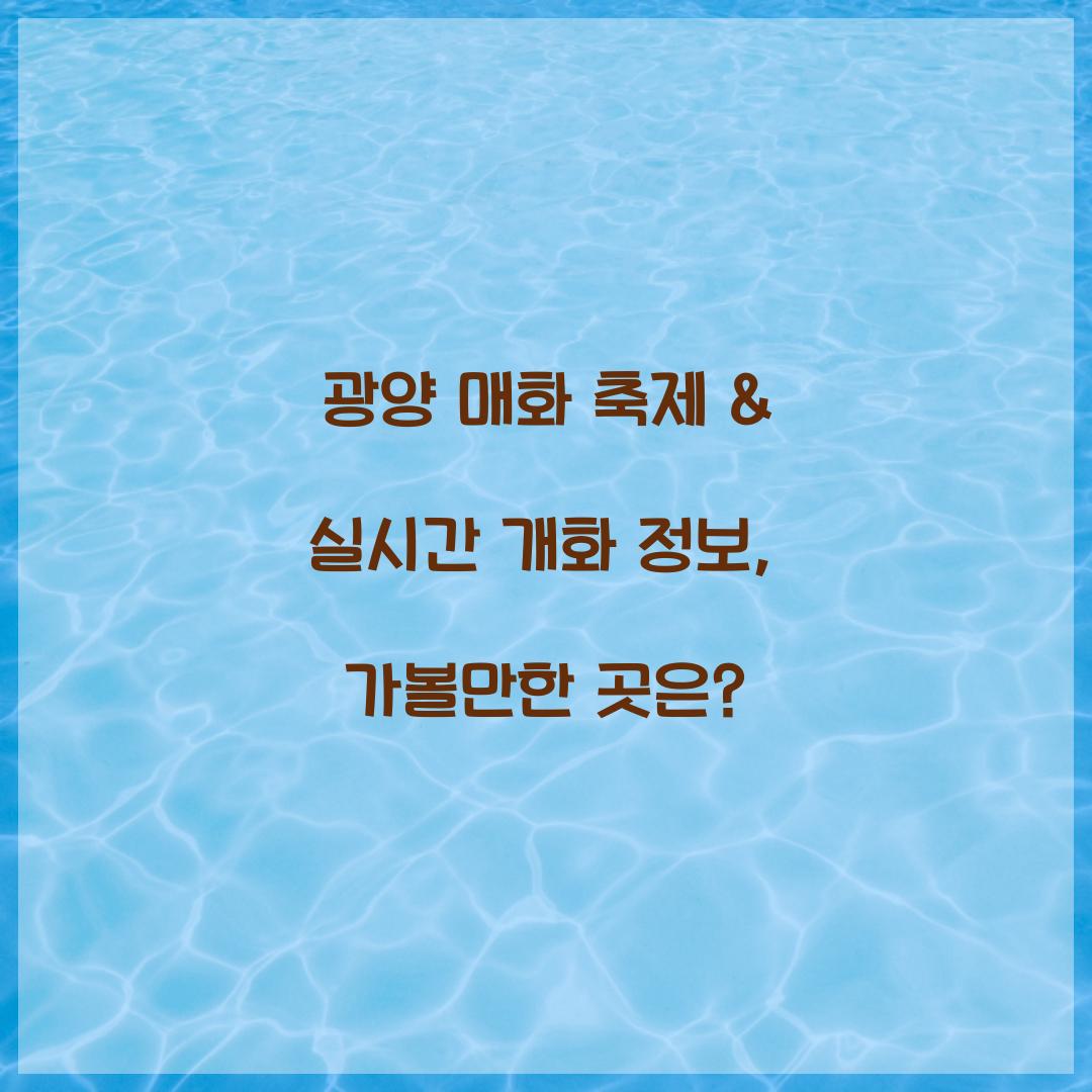 광양 매화 축제