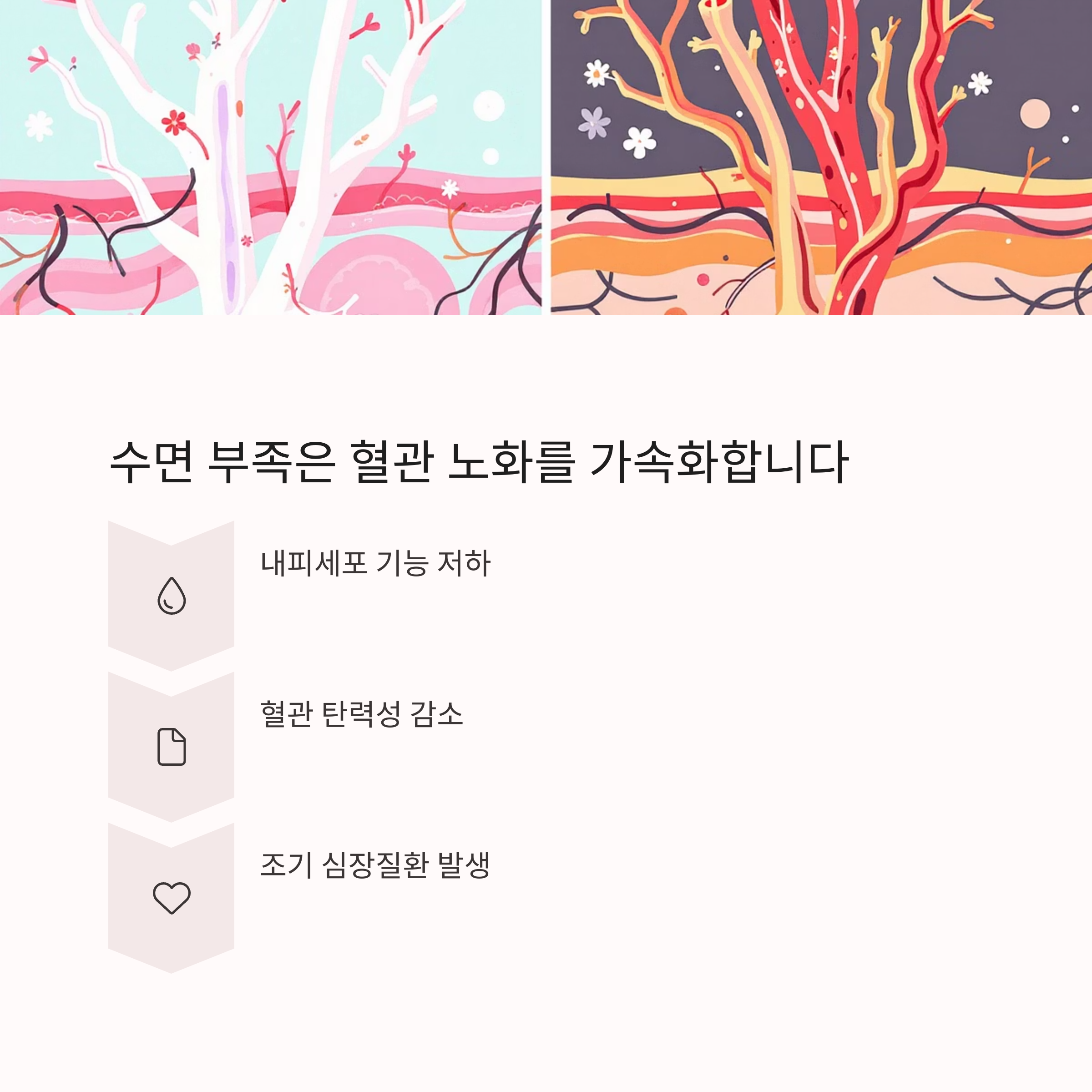 수면 부족은 혈관 노화를 가속화합니다 관련 사진