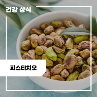 피스타치오 효능 권장섭취량 칼로리_12