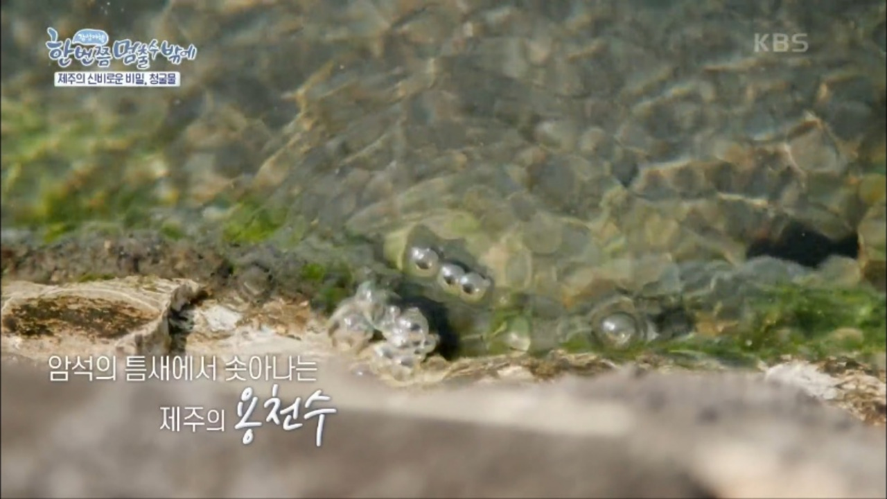 한번쯤멈출수밖에 제주 청굴물 04