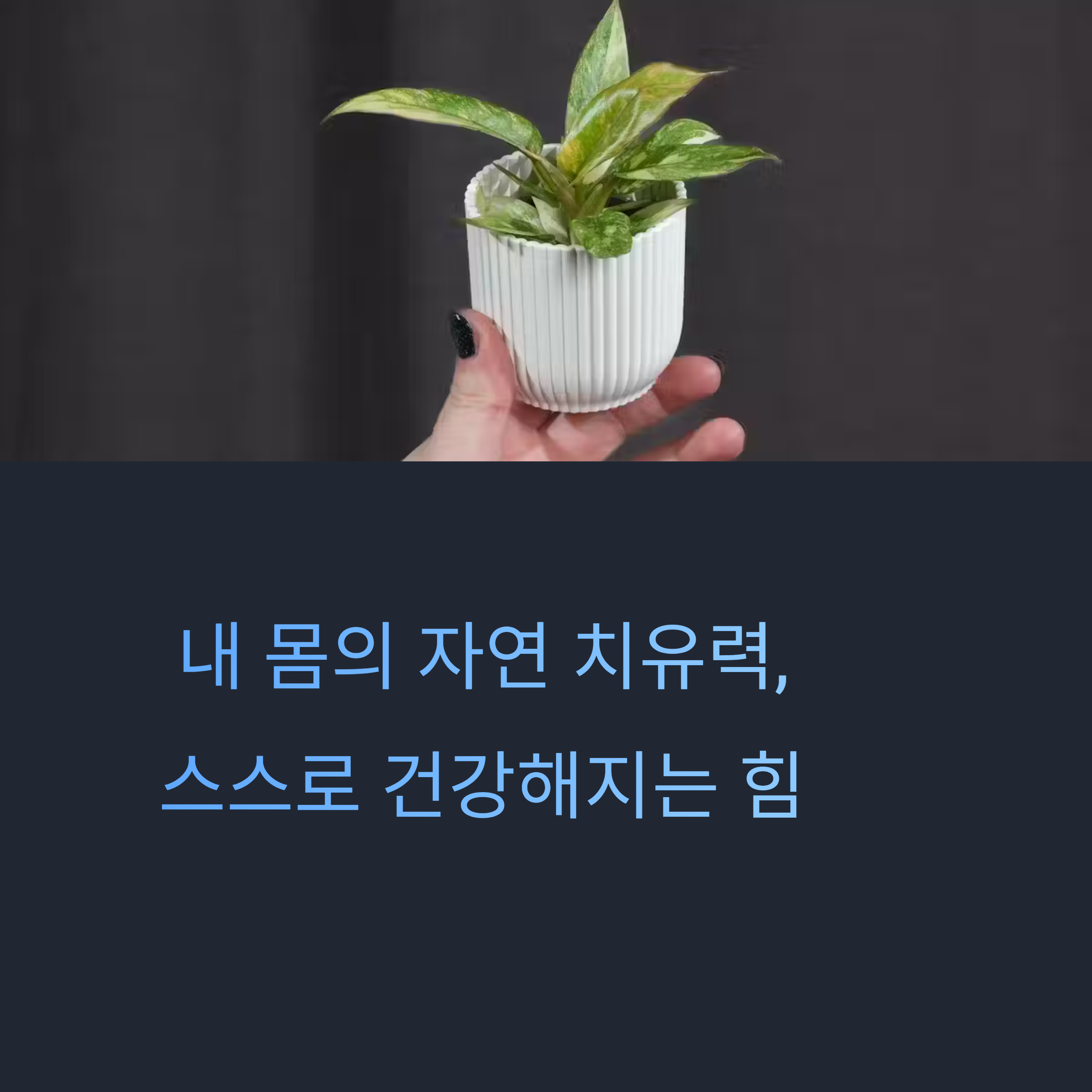 자연 치유력을 높이는 생활습관