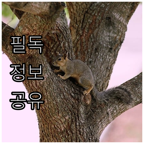 소중한 유족을 위한 마포구 2025 ..