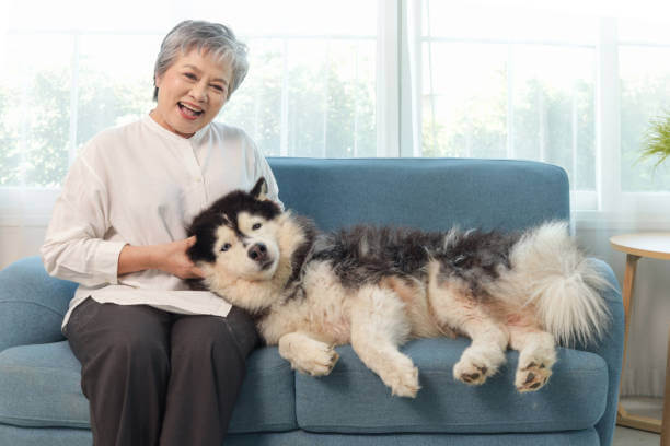 노령견 관리, 꼭 알아야 할 생활 습관과 건강 체크 포인트