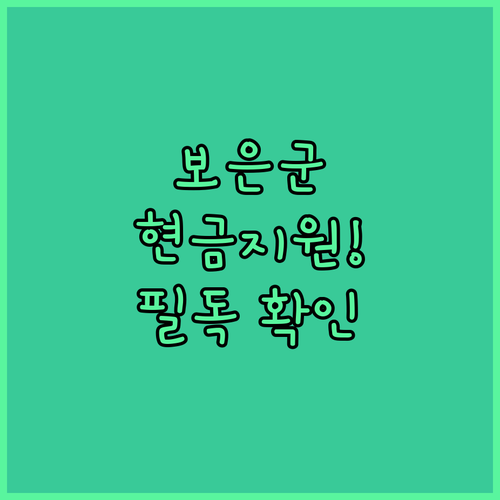 보은군 민생행복지원금 지급 금액과 주..